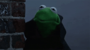 user8124640_b038a757148e.gif