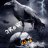 CROW_
